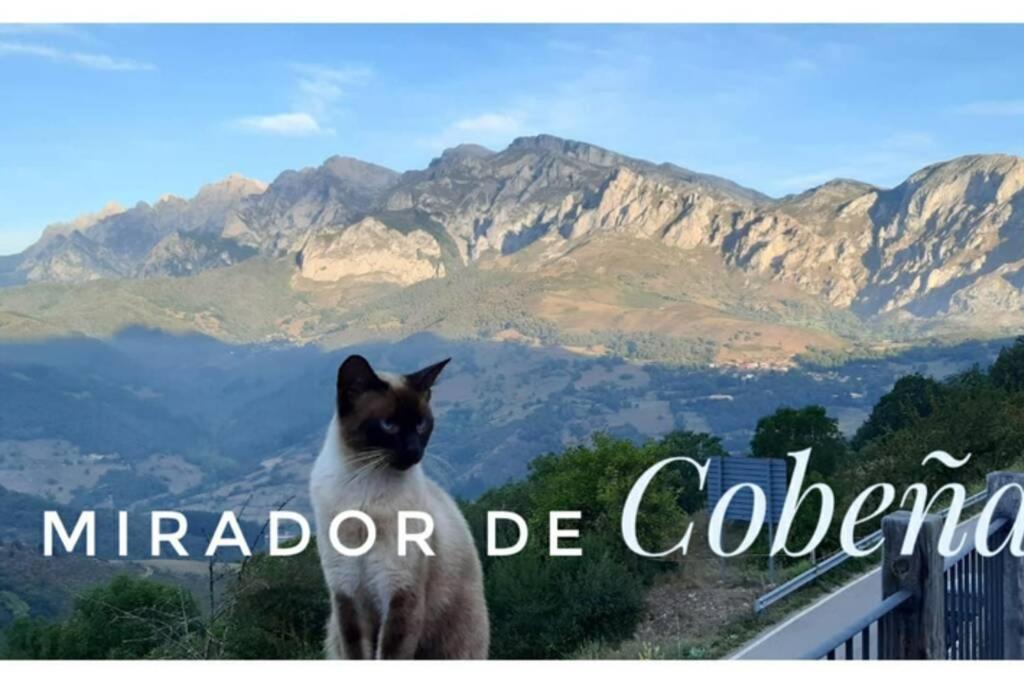 Appartamento El Mirador de Cobeña II. Aires de Liébana en Picos Esterno foto